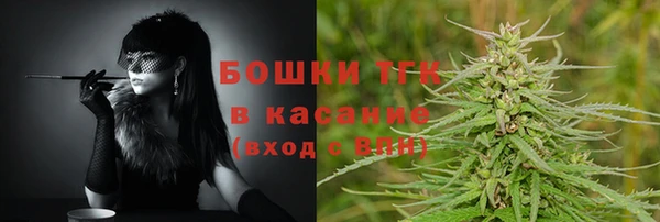 твердый Алексин