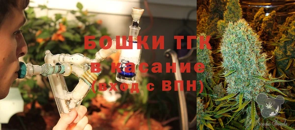 ГАЛЛЮЦИНОГЕННЫЕ ГРИБЫ Алексеевка