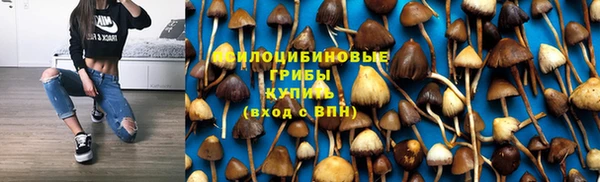 твердый Алексин