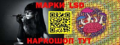 винт Шахты