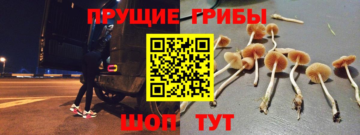 Псилоцибиновые грибы Cubensis Североуральск