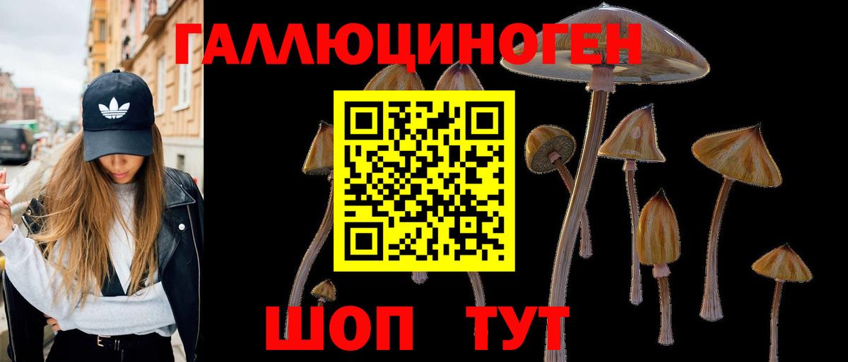 Галлюциногенные грибы Magic Shrooms  Вход с VPN  Североуральск  купить  сайты  Псилоцибиновые грибы прущие грибы 