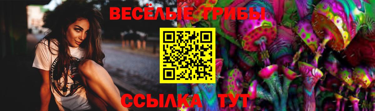 Метамфетамин  Североуральск  Вход с VPN  Мефедрон   Каннабис  ЭКСТАЗИ  COCAIN  Вейп ТГК  ГАШ  APVP СК кристаллы 